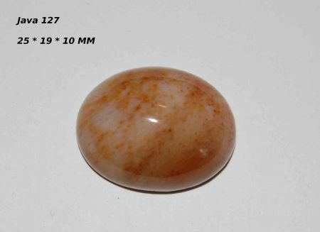 #127 Cabochon Fossiel Koraal Fossil Coral Cabochon - 1