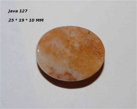 #127 Cabochon Fossiel Koraal Fossil Coral Cabochon - 2