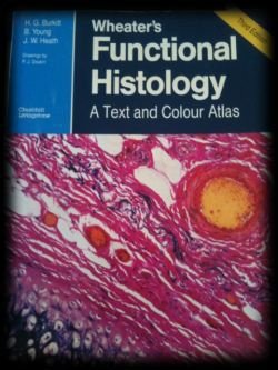 Wheater's functional histology - 1