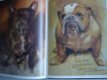 Rien Poortvliet : Braaf hondenboek 1e druk 1983 geen omslag - 1 - Thumbnail