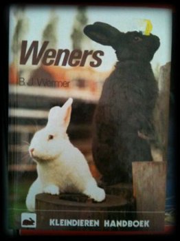 Weners (konijnen), B.J.Wermer, - 1