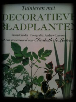 Tuinieren met decoratieve bladplanten, Susan Conder - 1