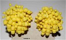 #earclips #Vintage 3 #yellow #pearls 70ties - 1 - Thumbnail