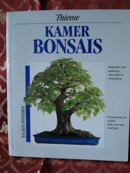 Kamer bonsais; adviezen voor aankoop, opkweek JochenPfistere - 1