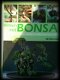 Werken met bonsai, Peter Chan - 1 - Thumbnail