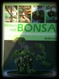 Werken met bonsai, Peter Chan