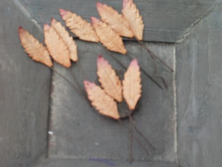 10 leaves brown 3 - 1