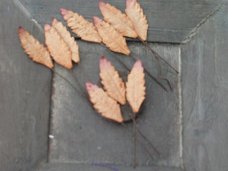 10 leaves brown 3