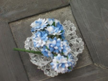 bosje aster daisy 2tone blue - 1
