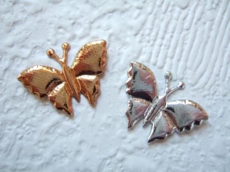 Klein glanzend vlindertje ~ 2 cm ~ Zilver - 3