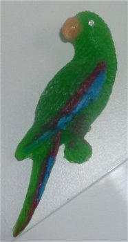 zeep papagaai - 1
