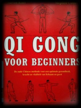 Qi Gong voor beginners, Steven Kuei, Stephen Comee, - 1