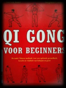 Qi Gong voor beginners, Steven Kuei, Stephen Comee,