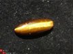 Cabochon Tijger-oog Tigers-eye 12*30*6mm Speciale maat - 1 - Thumbnail