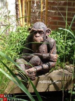 CHIMPANSEE van Marbo - 1