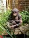 CHIMPANSEE van Marbo - 1 - Thumbnail