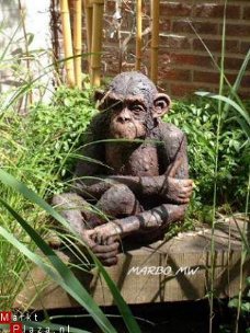 CHIMPANSEE van Marbo