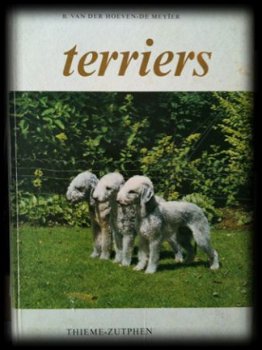 Terriers, B.Van Der Hoeven-De Meyer, - 1