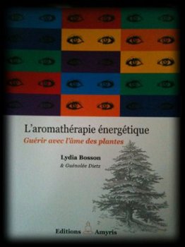 L'aromathérapie énergétique, Lydia Bosson, - 1