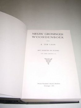 Nieuw Groninger Woordenboek (Schrijver K. ter Laan) - 1