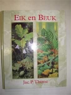 Eik en Beuk.