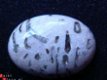 Cabochon Schrift-graniet #106 25*18*7.5mm hoog - 1 - Thumbnail