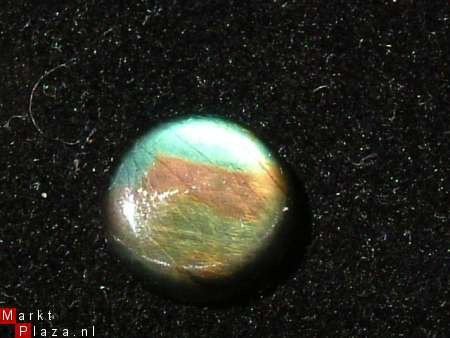 Cabochon Tri-collore Spectroliet Rond 10mm*3mm - 1