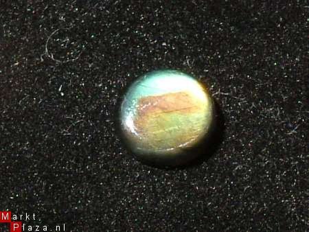 Cabochon Tri-collore Spectroliet Rond 10mm*3mm - 1