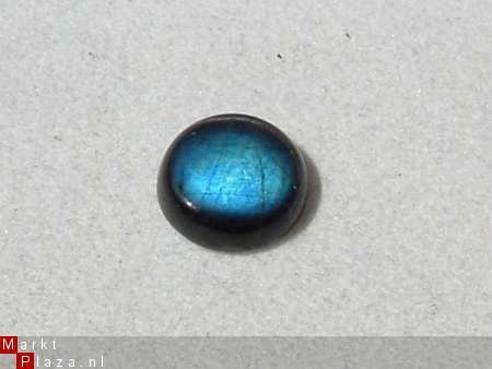 Cabochon Oceanblue Spectroliet Rond 10mm*3mm - 1