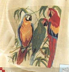 borduurpatroon 033 papegaaien