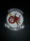 US Airforce patch : Scorpions - 1 - Thumbnail