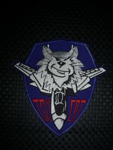 US Airforce patch Tom Cat