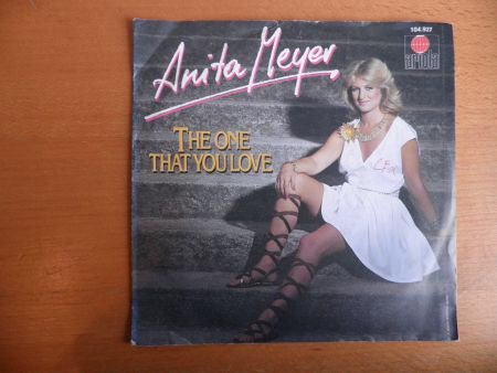 Anita Meyer The one that you love - 1