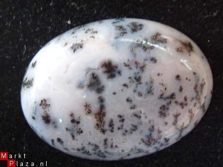 Cabochon Dendriet-agaat 30*22 * 8mm dik - 1