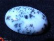 Cabochon Dendriet-agaat 30*22 * 8mm dik - 1 - Thumbnail