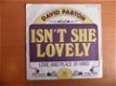 David Parton Isn’t she lovely - 1 - Thumbnail