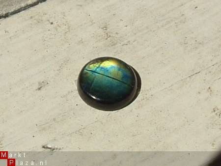 Oceangreen Spectroliet#115 Rond 10mm*3mm - 1