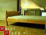 1.persoons grenen bed ledikant. via >>> www.SHOP.nl - 1