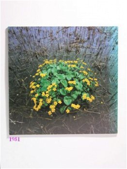 [1981] Landschappen in Overijssel, Berk, Waanders - 4