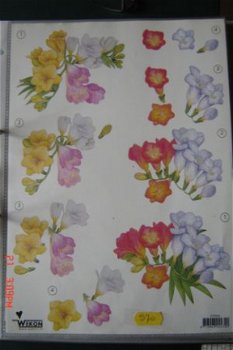 KNIPVEL nr.570-1 BLOEMEN - 1