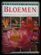 Bloemen, Lys De Bray - 1 - Thumbnail