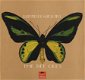 The Bee Gees - Rare, Precious & Beautiful - LP 1968 - 1 - Thumbnail