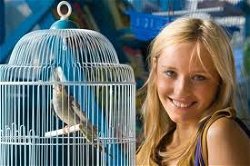 *** Visionaire Gelijkenis van vogels in een oude vogelkooi... is 271 x gelezen.