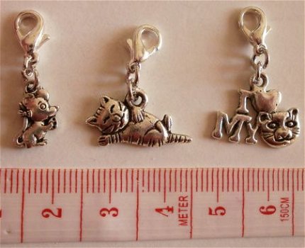 Natuur : Dieren : Charms set poesje. - 1