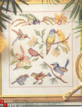 borduurpatroon 103 wandkleed tropische vogels. - 1