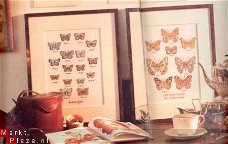 borduurpatroon 123 vlinders.