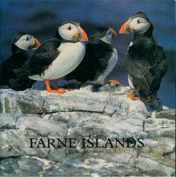 Farne Islands - 1