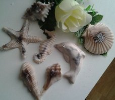 zeep zeepjes/ schelpen zee dieren set