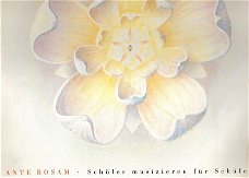 Rosicrucianism Society - Ante Rosam -vinyl album RARE!!