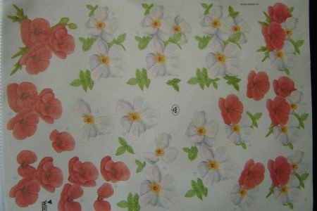 nr.733 opruiming KNIPVEL 3d bloemen - 1